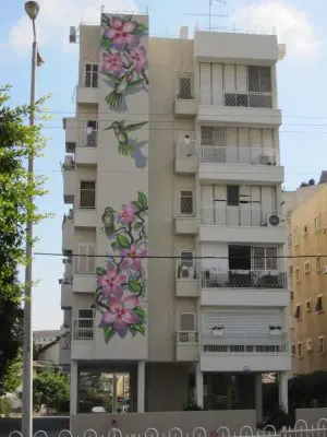 ציפורים על בניין