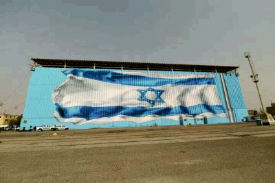 ציור קיר: רוני פלוא דגל ישראל